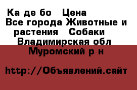 Ка де бо › Цена ­ 25 000 - Все города Животные и растения » Собаки   . Владимирская обл.,Муромский р-н